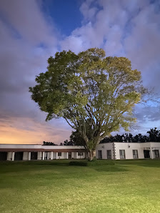 Casuarinas Jardin-salón-hotel Petit